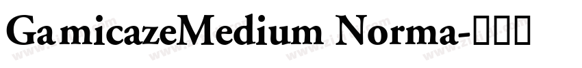 GamicazeMedium Norma字体转换
